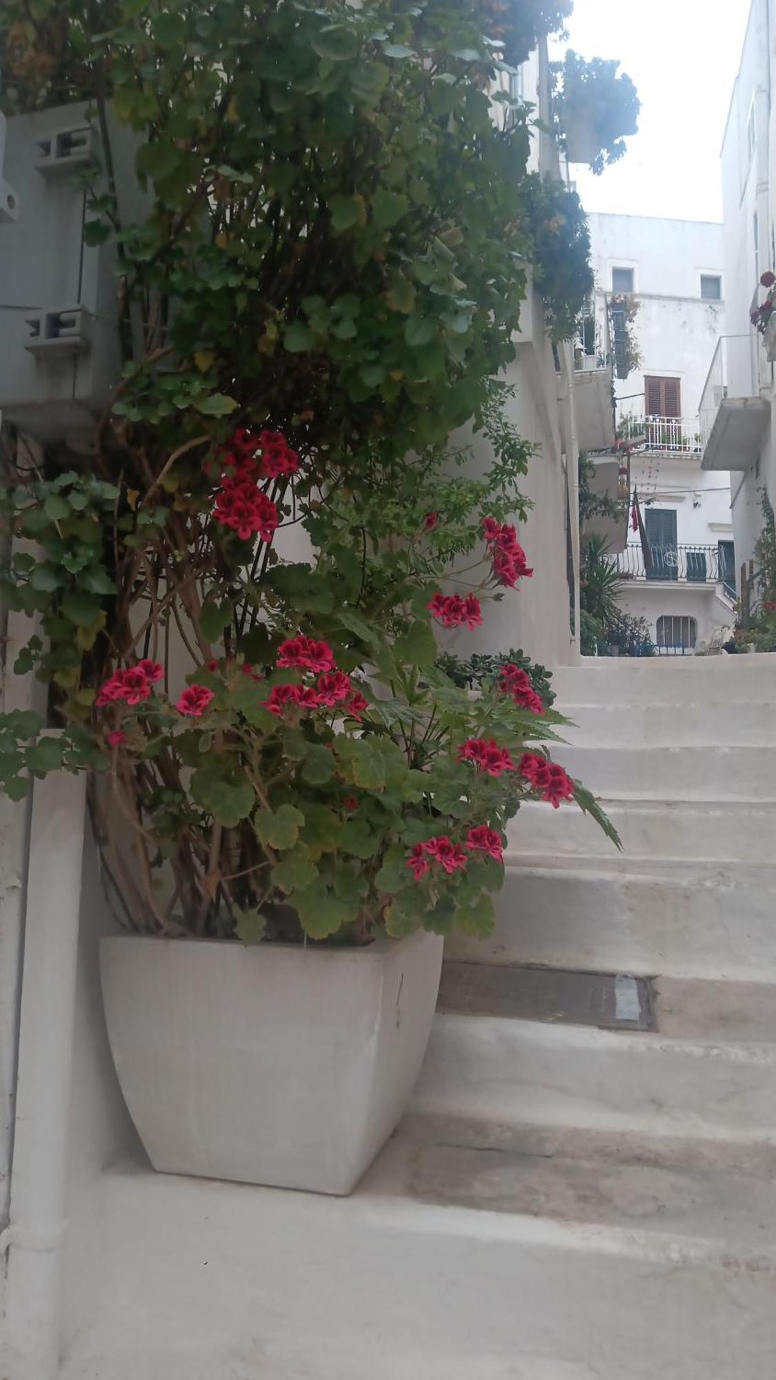 La Chicca Di C.Cavour Hotel Ostuni Exterior photo